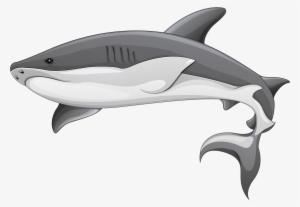 Free Whale Clipart Black And White - Shark Clipart Transparent Background