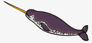 Free Narwhal Clipart - Narwhal Clip Art