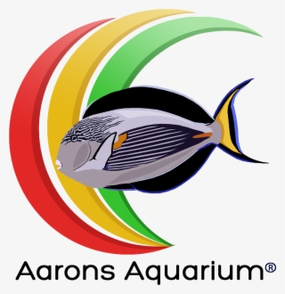 Aquarium Png - Graphic Design