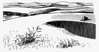 Medium Image - Sand Desert Drawing