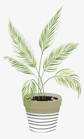 Vector Indoor Plants - Houseplant
