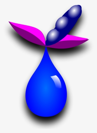 Drop Liquid Plant