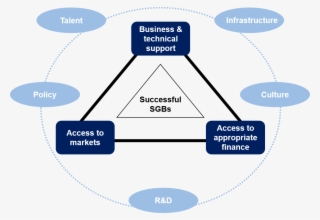 Management Talent Is A Binding Constraint To The Scale-up - Diagram