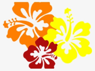 Flowers Of Hawaii Png