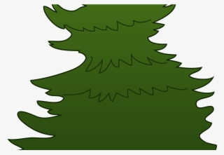 Evergreen Vector Free Download On Melbournechapter