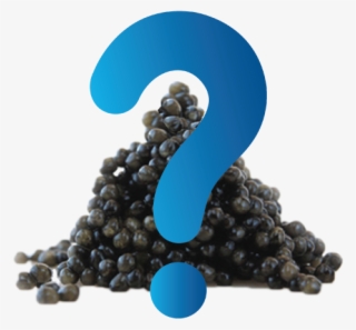 What Is Caviar - Caviar Png