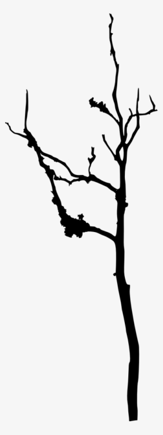 18 Bare Tree Silhouette Vol - Silhouette
