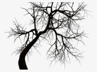 Dead Tree Clipart Noose Silhouette - Transparent Haunted House Png