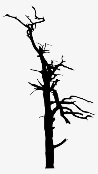 Dead Tree Silhouette Transparent Png Png Dead Trees - Silhouette