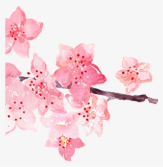 Pink Watercolor Painting Hand Painted Handpainted Blossoms - Watercolor Painting