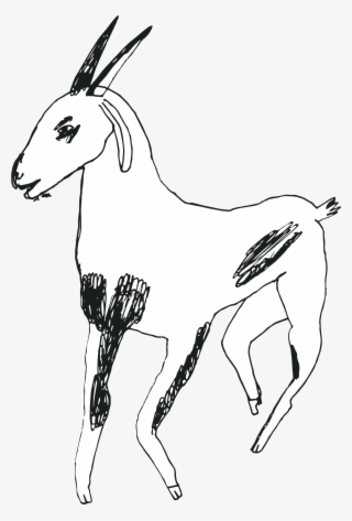 Goat - Illustration
