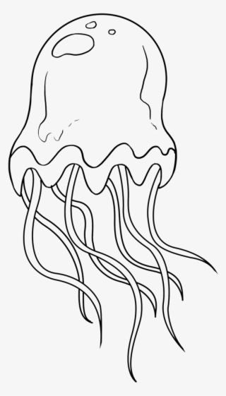 848 X 1200 13 - Easy Drawings Of Jelly Fish