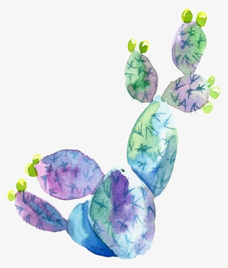 Purple Blue Watercolor Hand Painted Cactus Transparent - Illustration