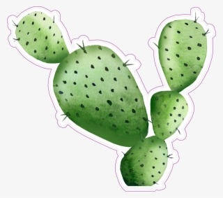 Sharp Watercolor Cactus Sticker - High Resolution Cactus Watercolor