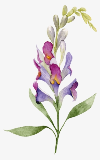 Flower Divider - Orchid