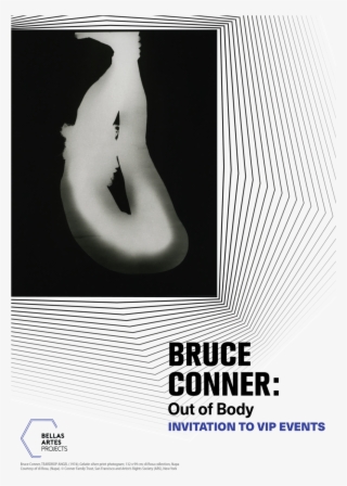 Bap Bruceconner Vip -01 - Poster