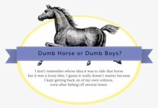Dumb Horse Or Dumb Boys - Mane