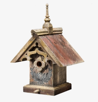 Old World Flycatcher