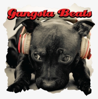 Gangsta Beats - Dog With Beats Headphones