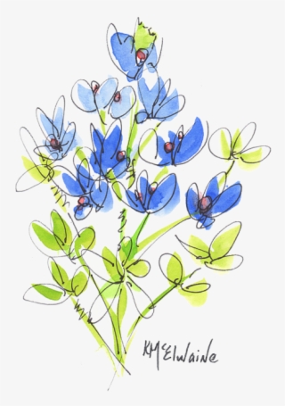 Click And Drag To Re-position The Image, If Desired - Gentian Family