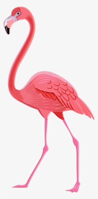 Free Png Download Flamingo Png Images Background Png - Transparent Flamingo Flamingo Png