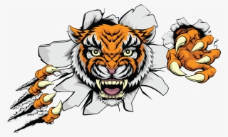Ferocious Clipart Indian Tiger - Non Copyright Images Of Tiger Feet .png