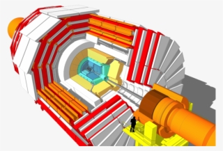 Png, Cms 160312 07 Thumb - Main Component Of Cms Detector