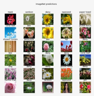 See The License - Collage