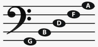 Notes Written Below The Middle Line Have Stems Stick - D In Bass Clef