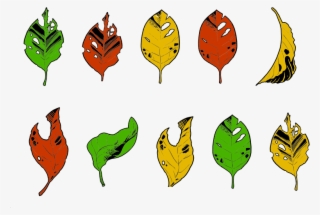 Less Than Perfect Autumn Leaves