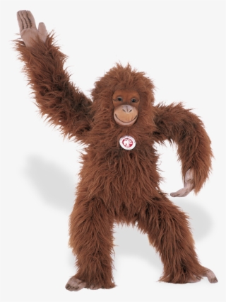 Steiff Studio Orangutan - Orang Outang