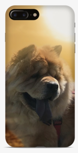 Best Customized Zara The Chow Phone Cover - Stallion
