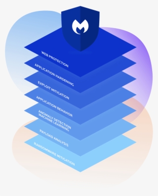 Malwarebytes Logo Stacked On Top Of The Seven Technology - Graphic Design