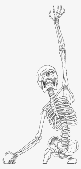Skelton Sticker - Skeleton Aesthetic