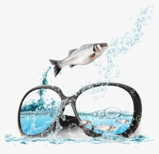 And Sunglasses Poster Fish Ocean Advertising In Clipart - Water Psd