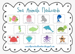 Ocean Clipart Preschool - Animal
