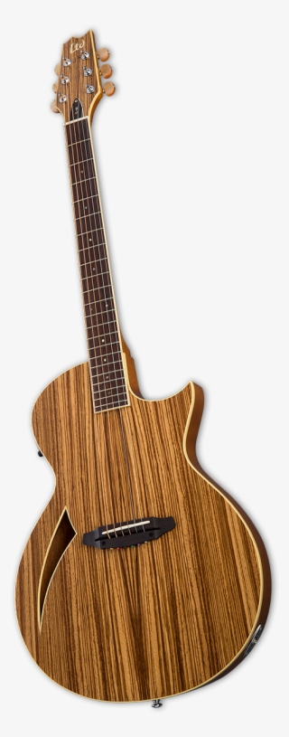 Ltd Tl6z 3 000 - Acoustic Guitar