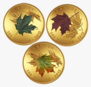 Canada 2015 Alluring Maple Leaves Of Fall Proof Gold - Coin
