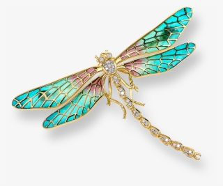 Stock - Transparent Background Dragonfly Png