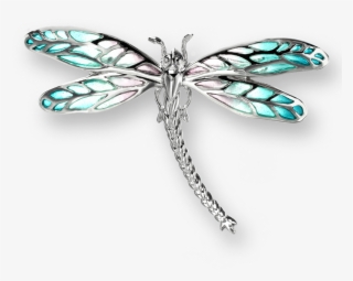 Stock - Dragonfly
