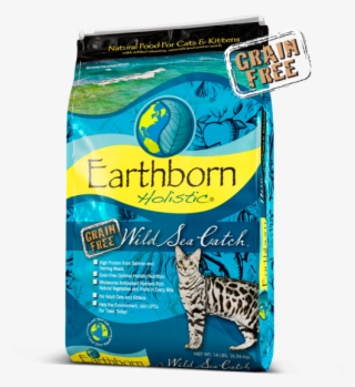 Earthborn Cat Food Medium - Earthborn Primitive Feline
