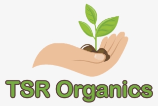 Logo - Illustration