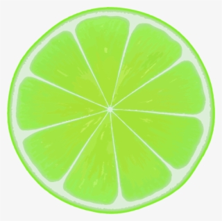 Lime Slice - Fruit Clipart Slices