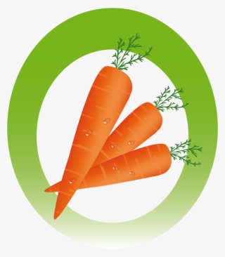 Inicie - Baby Carrot