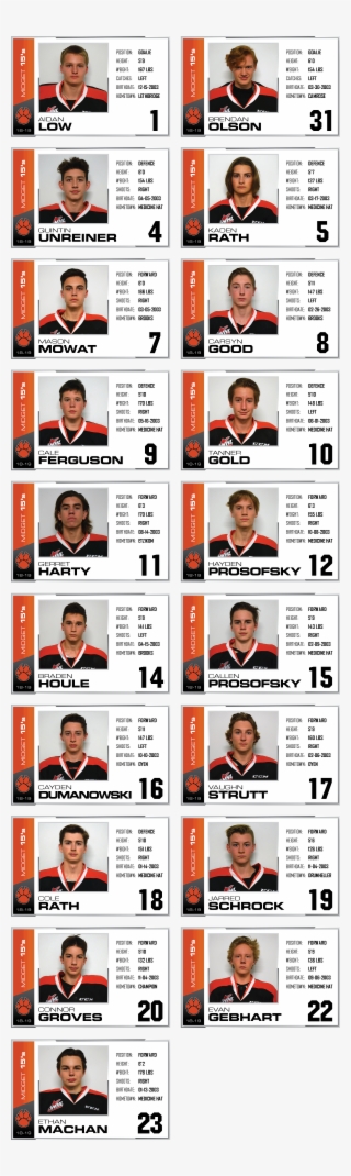 Midget 15's Roster Web