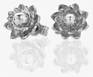 Protea Stud Earrings - Garden Roses