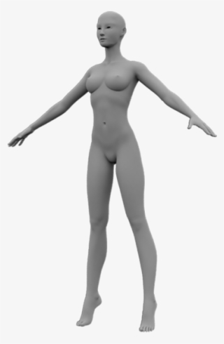 3d Model Base Mesh, Female, Sculpt, Unwrap, Uv - Human 3d Model Png