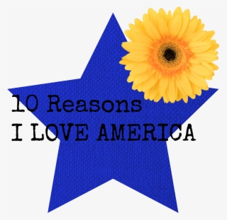 10 Reasons - American Staffordshire Terrier