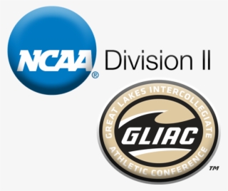 Purdue Northwest Approved For Final Year Of Ncaa Ii - Ncaa Football