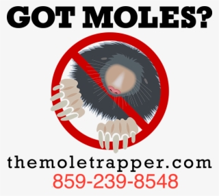 Recently Retired, I Am Offering Mole Trapping Services - Poster